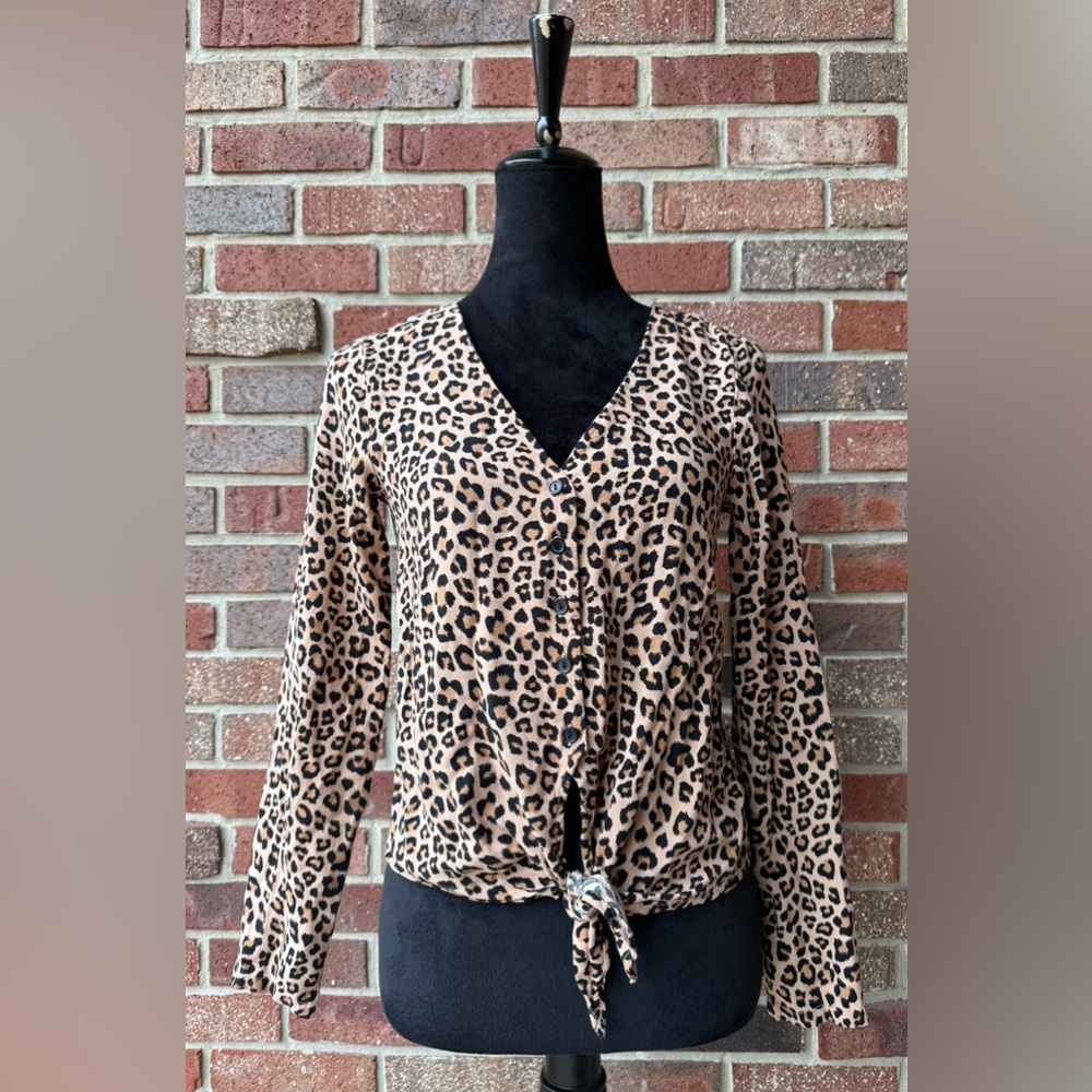 H&M Leopard Print V-Neck Blouse